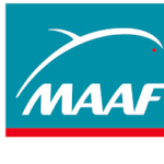 logo maaf